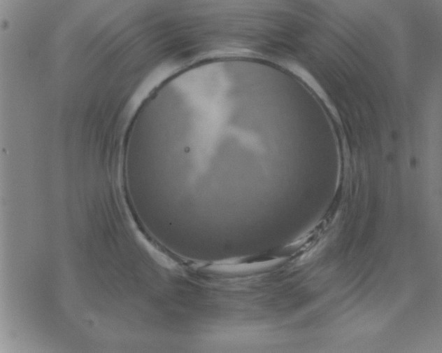 X0000075811245200610061724