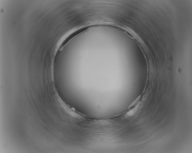 X0000075811246200610061724