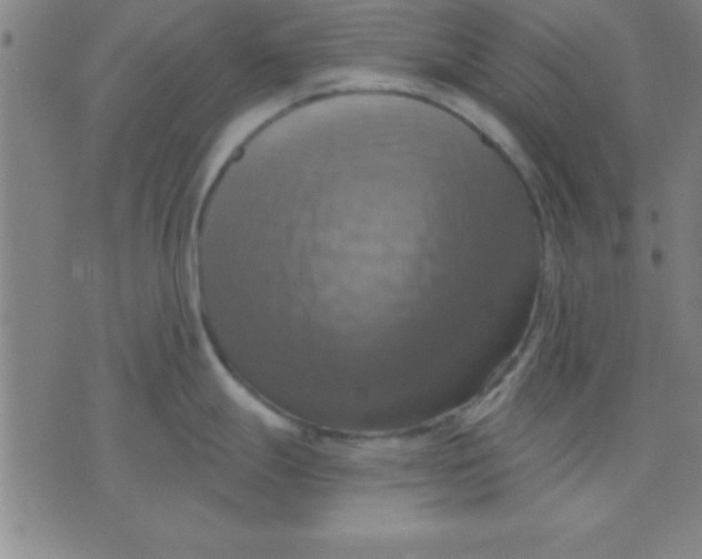 X0000075811247200610061724