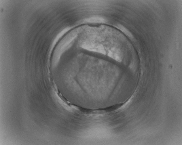 X0000075811248200610061724