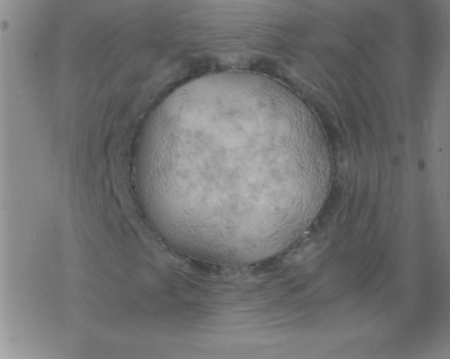 X0000075811249200610061723