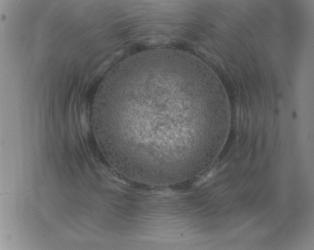 X0000075811250200610061723