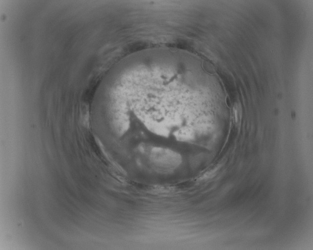 X0000075811251200610061723