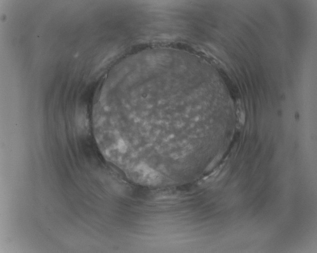 X0000075811252200610061723