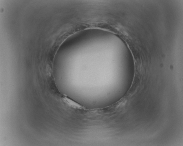 X0000075811253200610061723