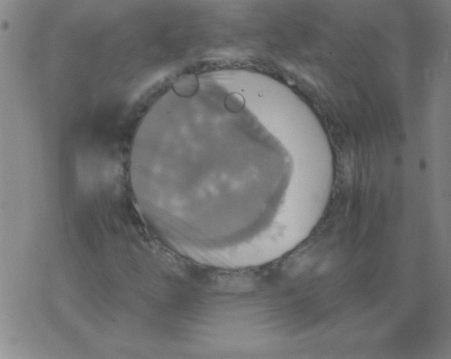 X0000075811254200610061723