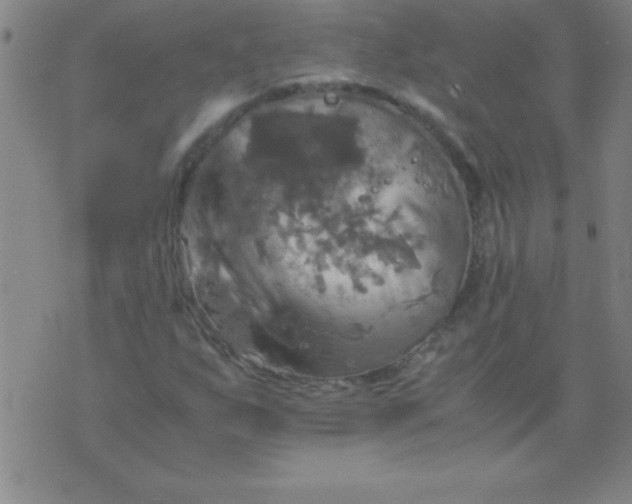 X0000075811255200610061723