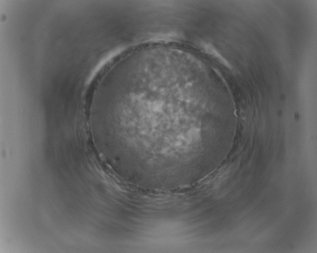 X0000075811256200610061723