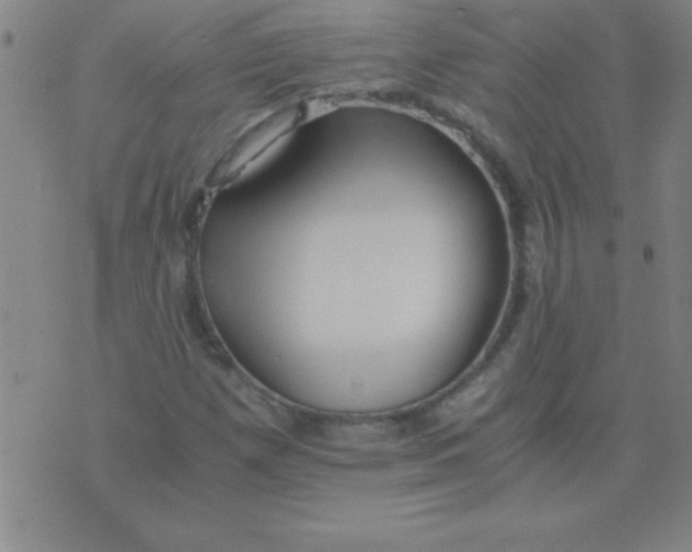 X0000075811257200610061723