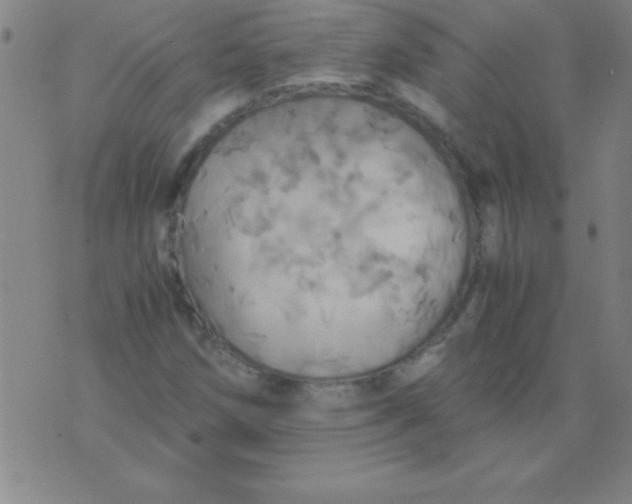 X0000075811258200610061723