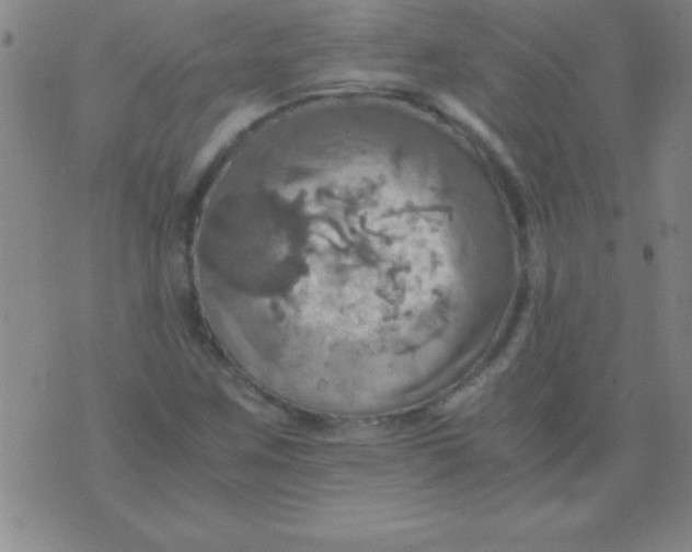 X0000075811259200610061723