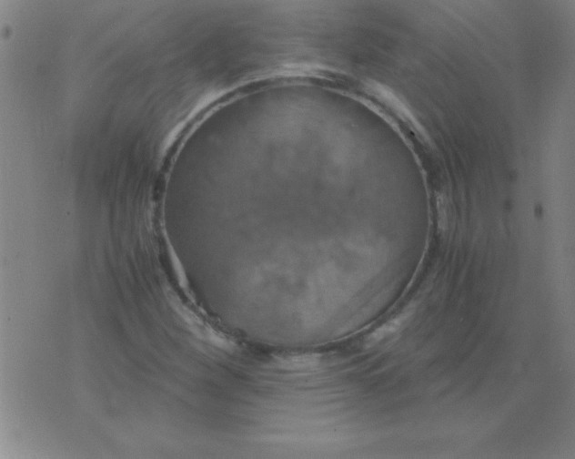 X0000075811260200610061723