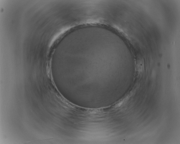 X0000075811262200610061723