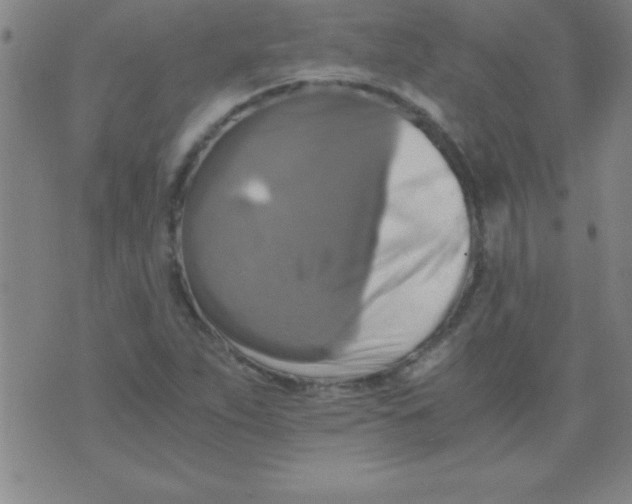 X0000075811263200610061723