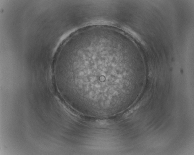 X0000075811264200610061723