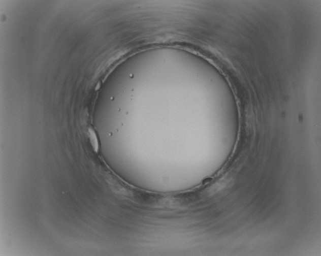 X0000075811265200610061723