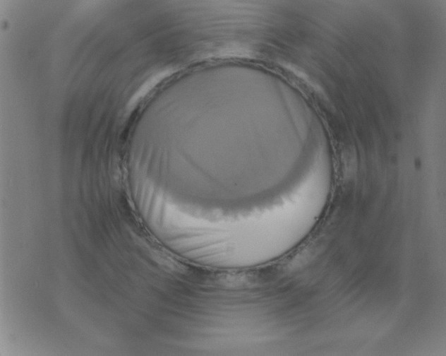 X0000075811266200610061723