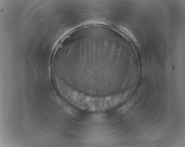 X0000075811268200610061723