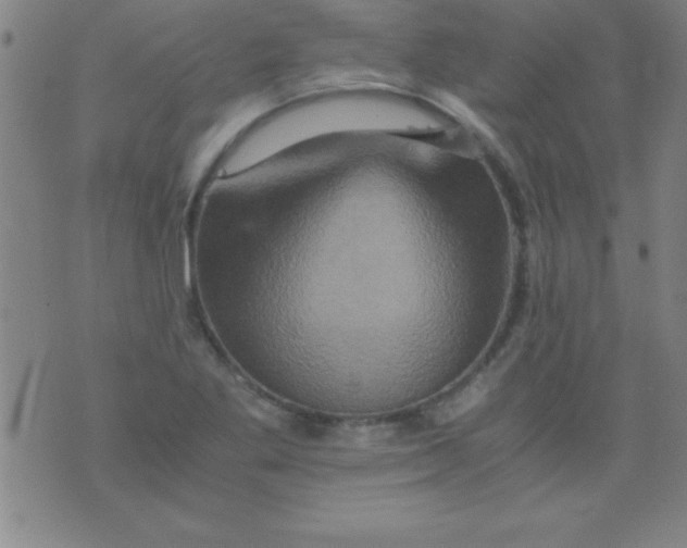 X0000075811269200610061723