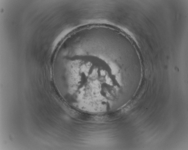 X0000075811271200610061723