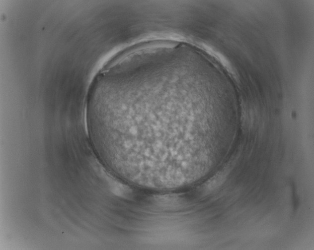 X0000075811272200610061723