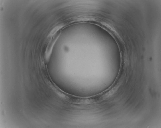 X0000075811273200610061723