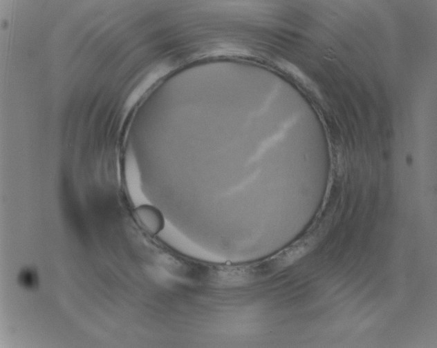 X0000075811274200610061722