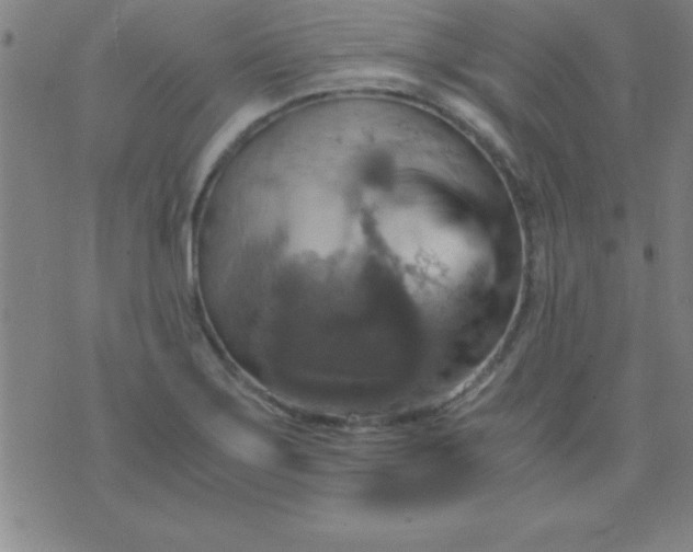 X0000075811275200610061722