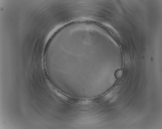 X0000075811278200610061722