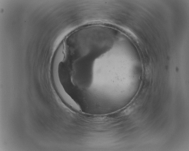 X0000075811279200610061722