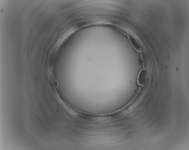 X0000075811281200610061722