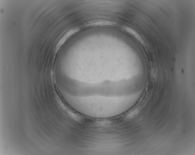 X0000075811282200610061722