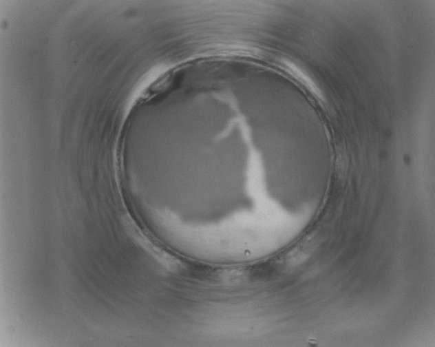 X0000075811283200610061722