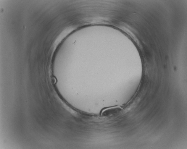 X0000075811285200610061722