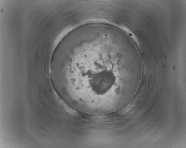 X0000075811287200610061722