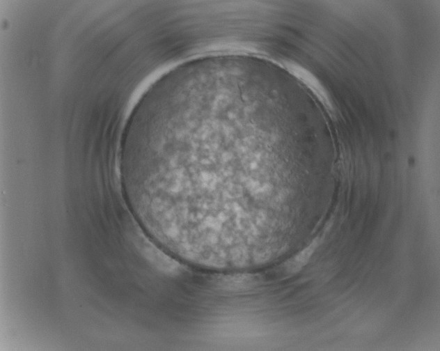 X0000075811288200610061722