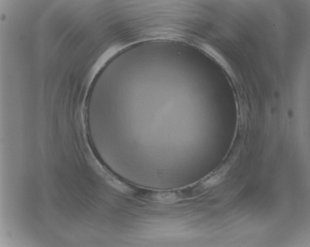 X0000075811291200610061722