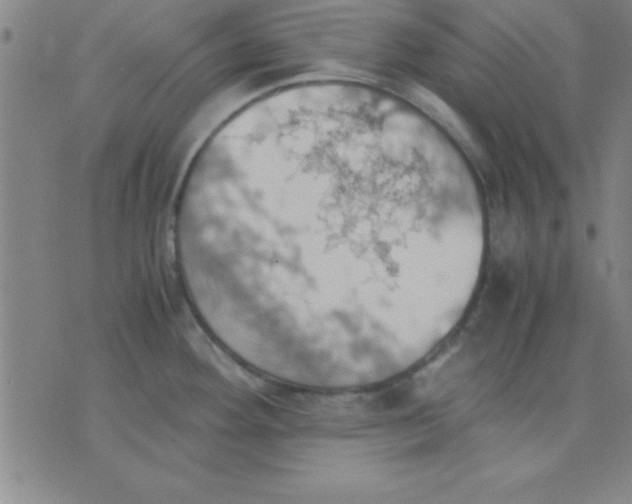 X0000075811292200610061722