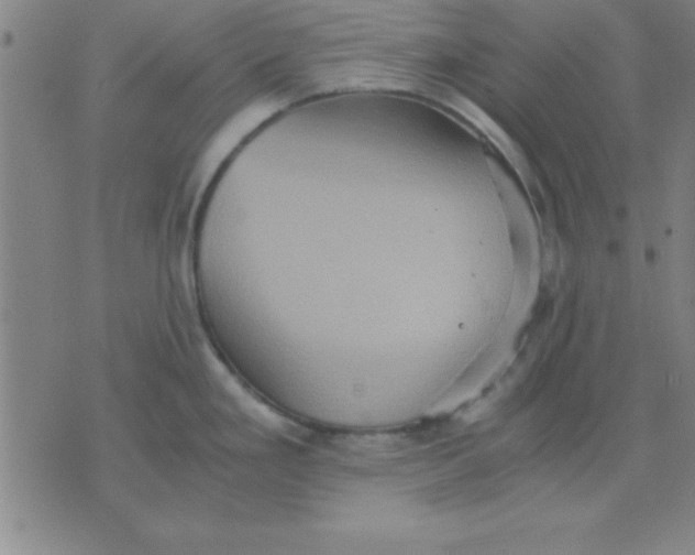 X0000075811293200610061722