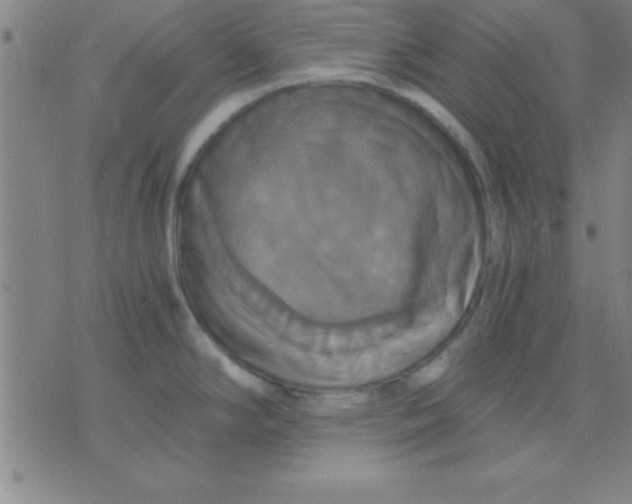 X0000075811294200610061722