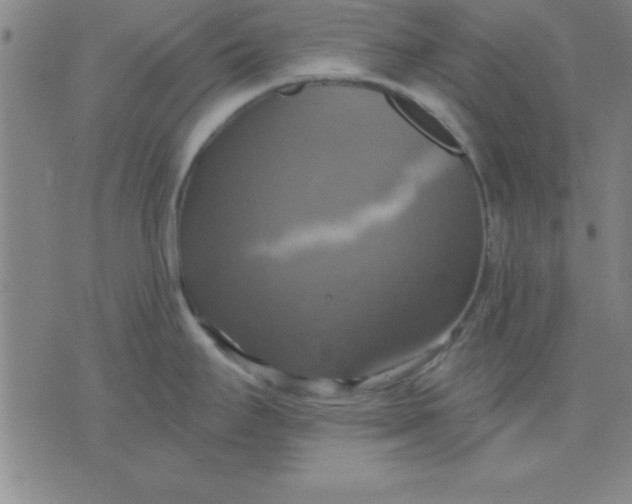 X0000075811295200610061722