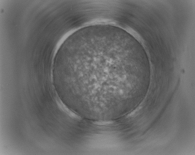 X0000075811296200610061722