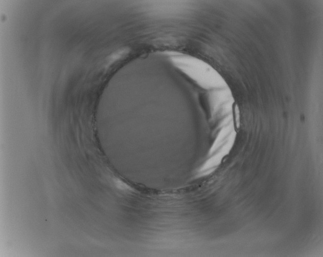 X0000075811297200610061721