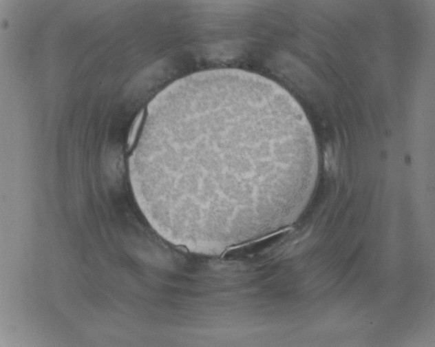 X0000075811299200610061721