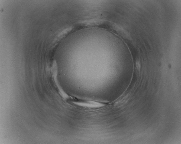 X0000075811300200610061721