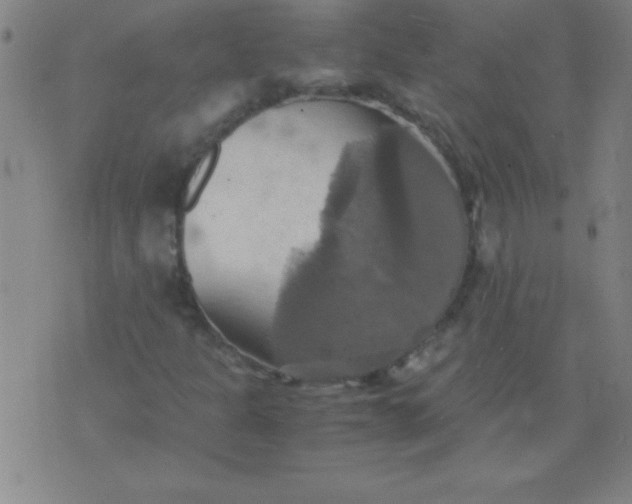 X0000075811301200610061721