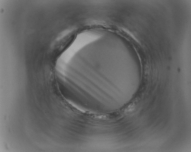 X0000075811303200610061721