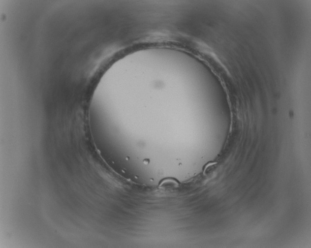 X0000075811304200610061721