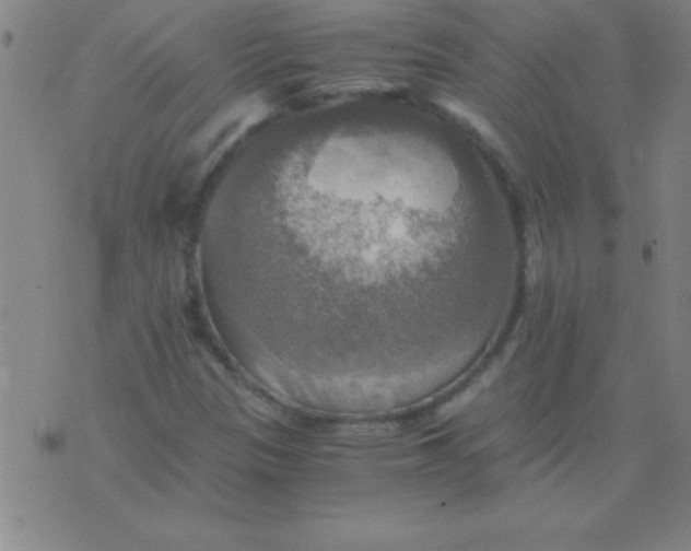 X0000075811305200610061721