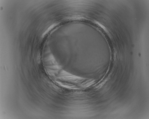 X0000075811306200610061722